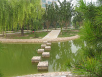 ̫�O������^