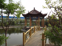 ̫�O������^