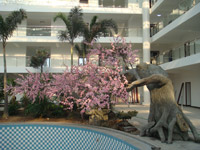 ̫�O������^