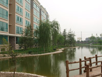 ̫�O������^