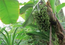 �������������B�@�����L���㽶