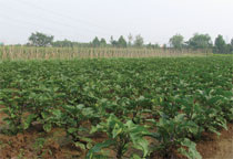 ̫�O�����w����̫�Oȭ