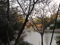 ̫�O�²����O(sh��)�乫˾���쾰ɫ