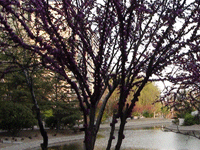 ̫�O�²����O(sh��)�乫˾���쾰ɫ