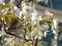 ̫�O��@��ɫ��̫�O�²����O�乫˾